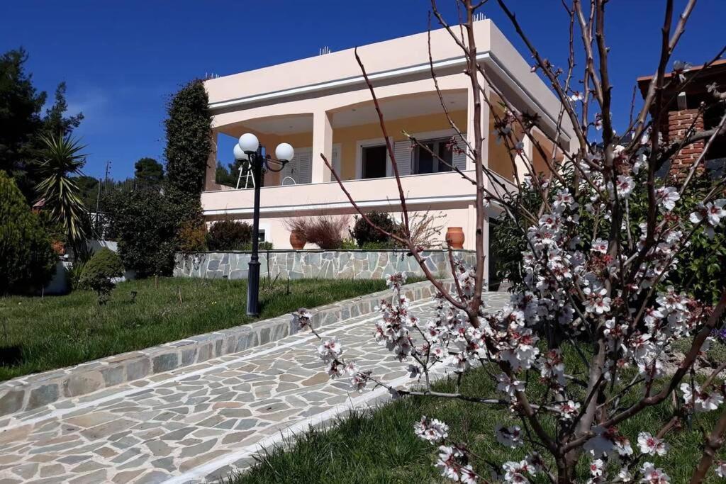 Villa Σπίτι Στο Βουνό Αλλά Μια Ανάσα Από Τη Θάλασσα Paleochori Exterior foto