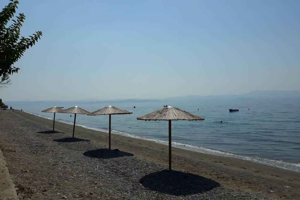 Villa Σπίτι Στο Βουνό Αλλά Μια Ανάσα Από Τη Θάλασσα Paleochori Exterior foto