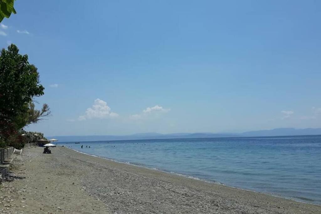 Villa Σπίτι Στο Βουνό Αλλά Μια Ανάσα Από Τη Θάλασσα Paleochori Exterior foto