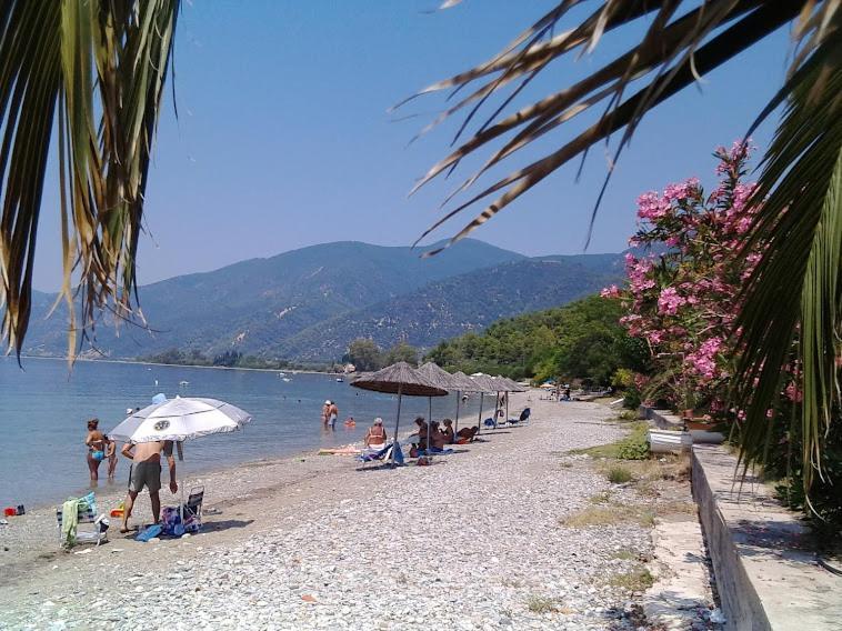 Villa Σπίτι Στο Βουνό Αλλά Μια Ανάσα Από Τη Θάλασσα Paleochori Exterior foto